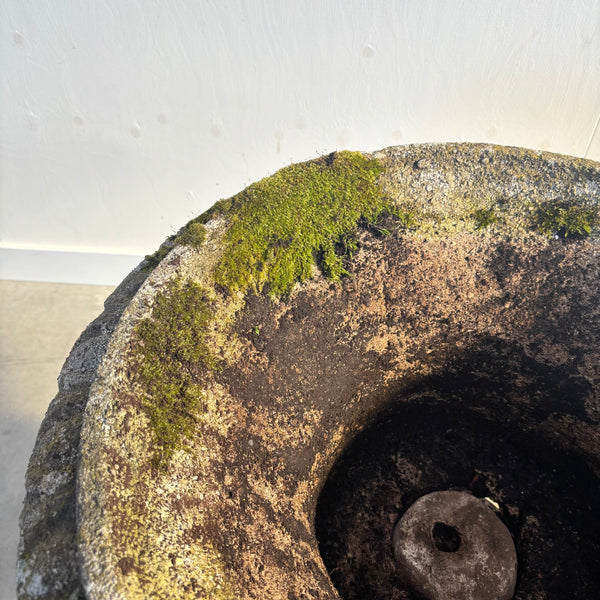 Ancient concrete plant stand