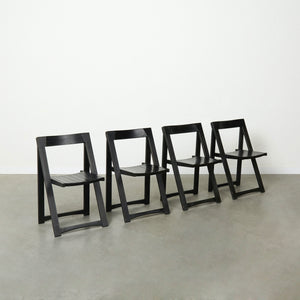 Trieste folding chairs by Aldo Jacober, 1960s