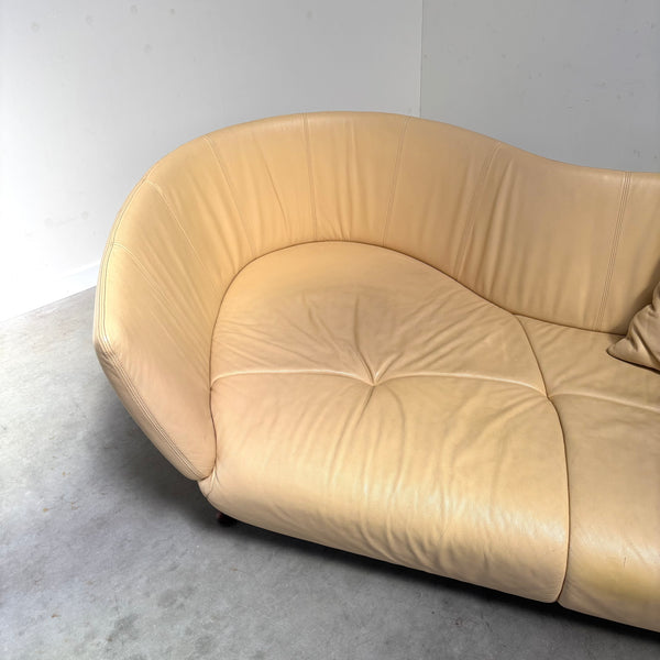 De Sede lounge shell; DS102